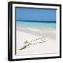 Cuba Fuerte Collection SQ - Natural Wild Beach-Philippe Hugonnard-Framed Photographic Print