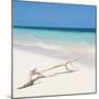 Cuba Fuerte Collection SQ - Natural Wild Beach-Philippe Hugonnard-Mounted Photographic Print