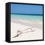 Cuba Fuerte Collection SQ - Natural Wild Beach-Philippe Hugonnard-Framed Stretched Canvas