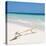 Cuba Fuerte Collection SQ - Natural Wild Beach-Philippe Hugonnard-Stretched Canvas