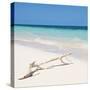 Cuba Fuerte Collection SQ - Natural Wild Beach-Philippe Hugonnard-Stretched Canvas