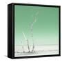 Cuba Fuerte Collection SQ - Ocean Nature - Pastel Green-Philippe Hugonnard-Framed Stretched Canvas