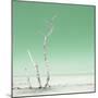Cuba Fuerte Collection SQ - Ocean Nature - Pastel Green-Philippe Hugonnard-Mounted Photographic Print