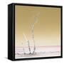 Cuba Fuerte Collection SQ - Ocean Nature - Pastel Orange-Philippe Hugonnard-Framed Stretched Canvas