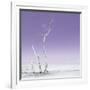 Cuba Fuerte Collection SQ - Ocean Nature - Pastel Purple-Philippe Hugonnard-Framed Photographic Print