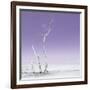 Cuba Fuerte Collection SQ - Ocean Nature - Pastel Purple-Philippe Hugonnard-Framed Photographic Print