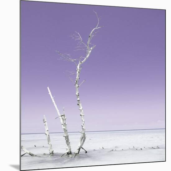 Cuba Fuerte Collection SQ - Ocean Nature - Pastel Purple-Philippe Hugonnard-Mounted Photographic Print