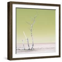 Cuba Fuerte Collection SQ - Ocean Nature - Pastel Yellow-Philippe Hugonnard-Framed Photographic Print