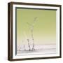 Cuba Fuerte Collection SQ - Ocean Nature - Pastel Yellow-Philippe Hugonnard-Framed Photographic Print