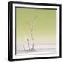 Cuba Fuerte Collection SQ - Ocean Nature - Pastel Yellow-Philippe Hugonnard-Framed Photographic Print