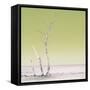 Cuba Fuerte Collection SQ - Ocean Nature - Pastel Yellow-Philippe Hugonnard-Framed Stretched Canvas