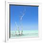 Cuba Fuerte Collection SQ - Ocean Nature-Philippe Hugonnard-Framed Photographic Print