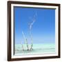 Cuba Fuerte Collection SQ - Ocean Nature-Philippe Hugonnard-Framed Photographic Print