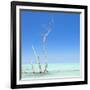 Cuba Fuerte Collection SQ - Ocean Nature-Philippe Hugonnard-Framed Photographic Print