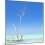 Cuba Fuerte Collection SQ - Ocean Nature-Philippe Hugonnard-Mounted Photographic Print