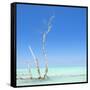 Cuba Fuerte Collection SQ - Ocean Nature-Philippe Hugonnard-Framed Stretched Canvas