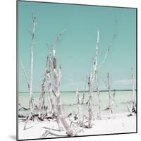Cuba Fuerte Collection SQ - Ocean Wild Nature - Pastel Coral Green-Philippe Hugonnard-Mounted Photographic Print