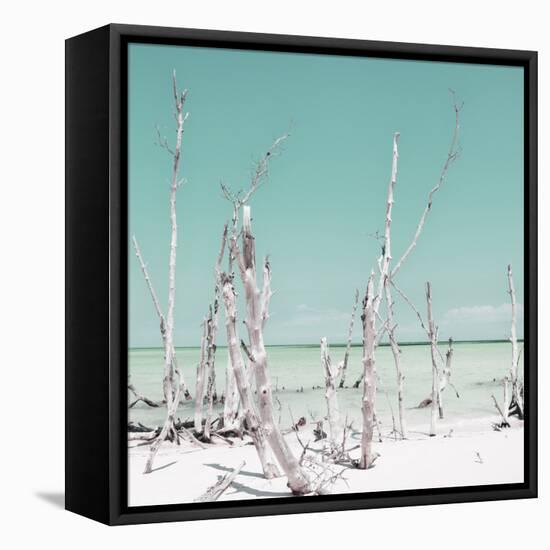 Cuba Fuerte Collection SQ - Ocean Wild Nature - Pastel Coral Green-Philippe Hugonnard-Framed Stretched Canvas