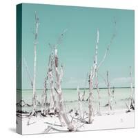Cuba Fuerte Collection SQ - Ocean Wild Nature - Pastel Coral Green-Philippe Hugonnard-Stretched Canvas