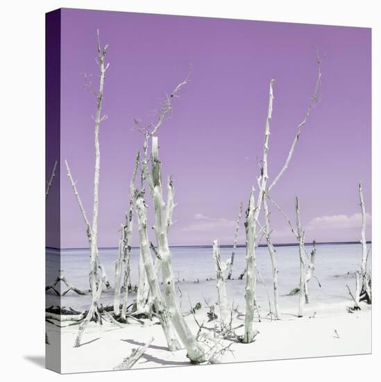 Cuba Fuerte Collection SQ - Ocean Wild Nature - Pastel Purple-Philippe Hugonnard-Stretched Canvas