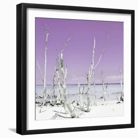 Cuba Fuerte Collection SQ - Ocean Wild Nature - Pastel Purple-Philippe Hugonnard-Framed Photographic Print