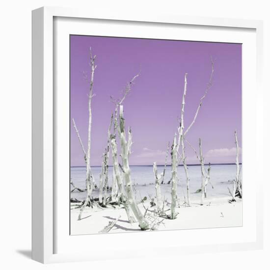 Cuba Fuerte Collection SQ - Ocean Wild Nature - Pastel Purple-Philippe Hugonnard-Framed Photographic Print