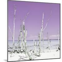 Cuba Fuerte Collection SQ - Ocean Wild Nature - Pastel Purple-Philippe Hugonnard-Mounted Photographic Print