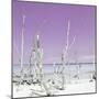 Cuba Fuerte Collection SQ - Ocean Wild Nature - Pastel Purple-Philippe Hugonnard-Mounted Photographic Print