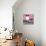 Cuba Fuerte Collection SQ - Old Pink Car-Philippe Hugonnard-Mounted Photographic Print displayed on a wall