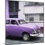 Cuba Fuerte Collection SQ - Old Purple Car in the Streets of Havana-Philippe Hugonnard-Mounted Photographic Print