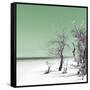 Cuba Fuerte Collection SQ - Olive Summer-Philippe Hugonnard-Framed Stretched Canvas