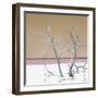 Cuba Fuerte Collection SQ - Orange Stillness-Philippe Hugonnard-Framed Photographic Print