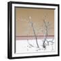 Cuba Fuerte Collection SQ - Orange Stillness-Philippe Hugonnard-Framed Photographic Print