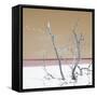 Cuba Fuerte Collection SQ - Orange Stillness-Philippe Hugonnard-Framed Stretched Canvas