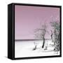 Cuba Fuerte Collection SQ - Pale Violet Summer-Philippe Hugonnard-Framed Stretched Canvas