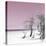 Cuba Fuerte Collection SQ - Pale Violet Summer-Philippe Hugonnard-Stretched Canvas