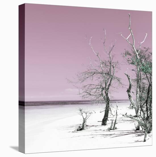 Cuba Fuerte Collection SQ - Pale Violet Summer-Philippe Hugonnard-Stretched Canvas