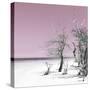 Cuba Fuerte Collection SQ - Pale Violet Summer-Philippe Hugonnard-Stretched Canvas