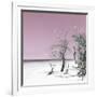 Cuba Fuerte Collection SQ - Pale Violet Summer-Philippe Hugonnard-Framed Photographic Print