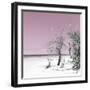 Cuba Fuerte Collection SQ - Pale Violet Summer-Philippe Hugonnard-Framed Photographic Print