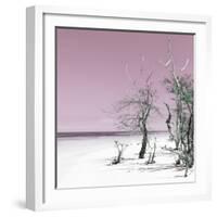 Cuba Fuerte Collection SQ - Pale Violet Summer-Philippe Hugonnard-Framed Photographic Print