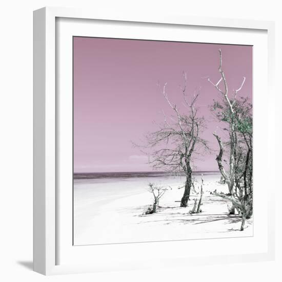 Cuba Fuerte Collection SQ - Pale Violet Summer-Philippe Hugonnard-Framed Photographic Print