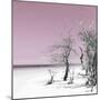 Cuba Fuerte Collection SQ - Pale Violet Summer-Philippe Hugonnard-Mounted Photographic Print