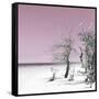 Cuba Fuerte Collection SQ - Pale Violet Summer-Philippe Hugonnard-Framed Stretched Canvas