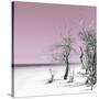 Cuba Fuerte Collection SQ - Pale Violet Summer-Philippe Hugonnard-Stretched Canvas