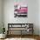 Cuba Fuerte Collection SQ - Pink Chevy-Philippe Hugonnard-Photographic Print displayed on a wall