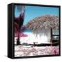 Cuba Fuerte Collection SQ - Pink Paradise Beach Hut-Philippe Hugonnard-Framed Stretched Canvas