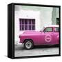 Cuba Fuerte Collection SQ - Pink Pontiac 1953 Original Classic Car-Philippe Hugonnard-Framed Stretched Canvas