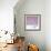 Cuba Fuerte Collection SQ - Pink Stillness-Philippe Hugonnard-Framed Photographic Print displayed on a wall