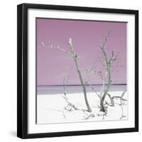 Cuba Fuerte Collection SQ - Pink Stillness-Philippe Hugonnard-Framed Photographic Print